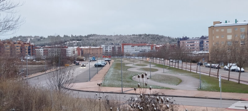 Carretera con nieve y aguanieve rodeada de &aacute;rboles en invierno en Burgos, Espa&ntilde;a