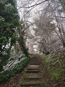Sendero con escaleras de madera subiendo por un bosque con nieve ligera en Burgos, Espa&ntilde;a
