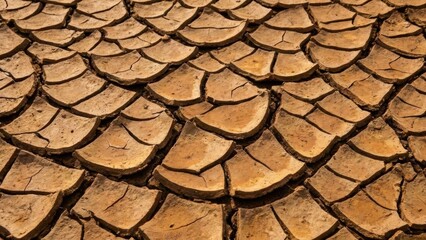 Cracked Dry Earth Surface With Detailed Clay Texture And Natural Sunlight