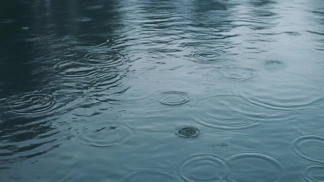 Asmr Raindrops creating intricate ripple patterns on the calm surface of a dark, reflective body of water outdoors with negative space b roll for advertising and news