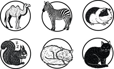 Engraved animal illustration icons set, camel zebra guinea pig squirrel fox and cat, vintage hand drawn vector artwork, black and white circular badge designs © Ideasy Mind