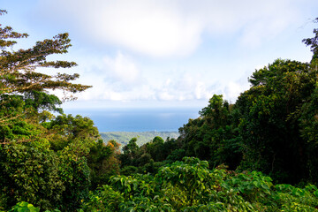 Obraz premium Panoramic View of North Bay Island and Tropical Coastline from Mount Harriet, Andaman Islands, India 