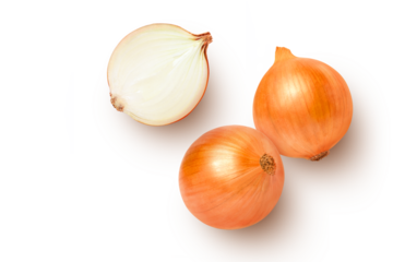 onion isolated on white background