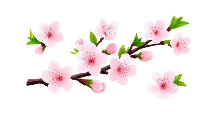 Naklejka premium Cherry blossom branch with delicate pink flowers and green leaves, symbolizing spring and renewal, isolated on transparent background, creating peaceful and elegant mood
