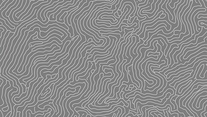 Obraz premium Contour Line Pattern for Outdoor Branding, Tech Interfaces, or Environmental Graphics