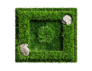 A square of vibrant green grass framed by grass, with two stones