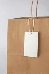 White tag on kraft bag handles, label on recycled paper bag.