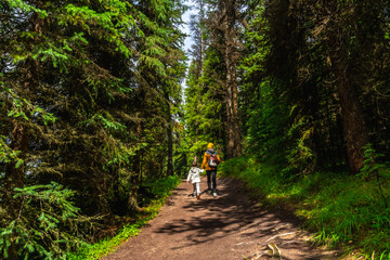 Obraz premium Hikers walking on a path in maligne lake forest, jasper national park