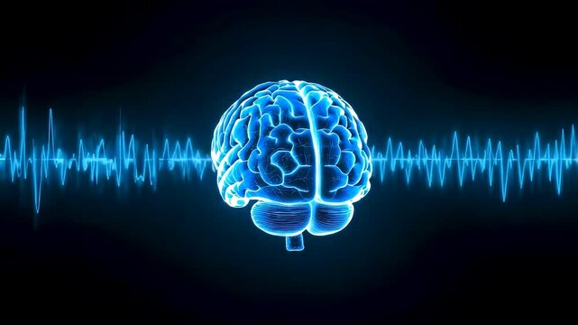 Glowing Blue Human Brain Anatomy Neural Waves Pulse Signal Dark Background Medical Visualization