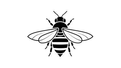 Obraz premium Honey Bee Insect Animal Line Icon Vector Symbol