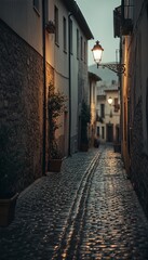 Fototapeta premium Narrow cobblestone street illuminated by a vintage street lamp at dusk, creating a warm and inviting atmosphere in a charming historic village.