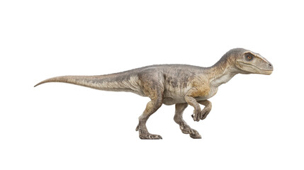 Realistic dinosaur model side profile isolated