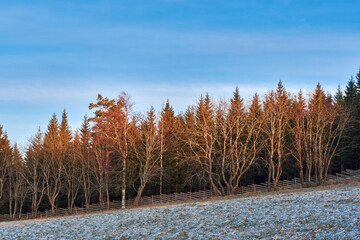 Photography from Kronborgs&aelig;tergrenda at rural Toten, Norway, in December 2025.