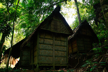 Traditional Wooden Rice Granaries (Leuit) of the Baduy Tribe in the Lush Jungles of Banten, Indonesia