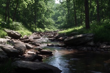 Stream flows through woods in afternoon sunlight