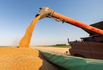 Farm machinery working together in a golden wheat field.
