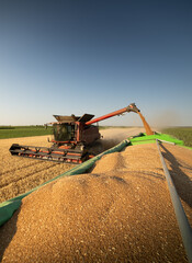 Farm machinery working together in a golden wheat field.