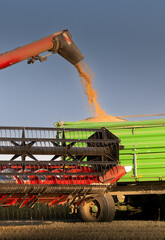 Farm machinery working together in a golden wheat field.
