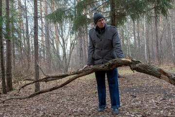 Adult man picking up deadwood in an autumn forest. Leisure in nature for gathering firewood or exploring fallen tree branches.