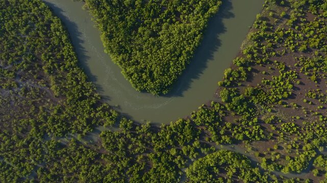 Aerial view of the river winding through dense green trees and shrubbery, a vibrant display of nature's untouched beauty, Maputo, Cidade de Maputo, Mozambique.