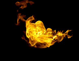 Fire flames on a black background