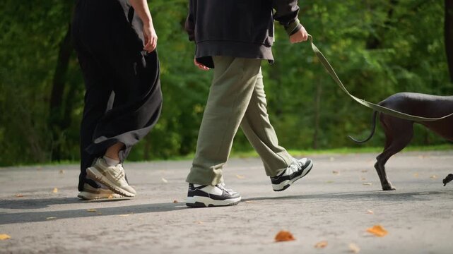 caucasian couple feet and dog moving on paved trail, closeup of sneakers and flowing skirt, steady stride and leash tension, autumn leaves on ground, focused rhythm and urban outdoor motion study
