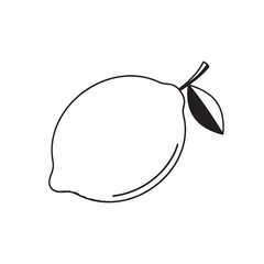 Minimal outline lemon with leaf on white background.