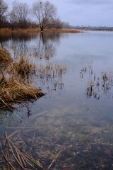 Quiet autumn lakeside landscape with bare trees, reed beds and calm water reflecting an overcast sky. Natural wetland scenery with muted tones, peaceful atmosphere