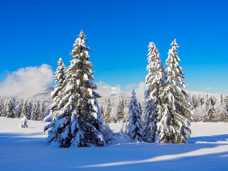 Spectacular winter scenery in the Bavarian Alps with snow-covered peaks and pristine alpine wilderness.