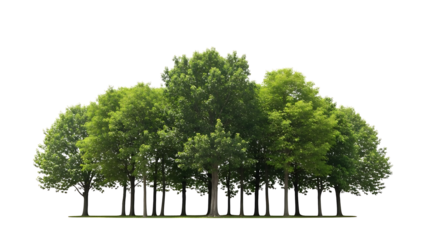 Group of green trees on transparent background