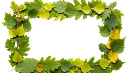 Green leafy wreath on transparent background for decoration and design