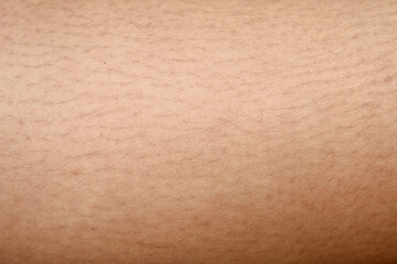 Detail of pores and skin texture of a man's leg with thin hair