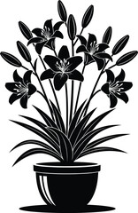 A black and white illustration of lilies in a decorative pot