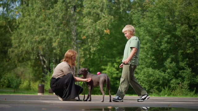 Dog Training Demonstration, Behaviorist Teaches Dog Social Skills, Trainer Guides Nervous Dog Through Social Exercises, Child Observes As Expert Demonstrates Calming Techniques To Anxious Canine