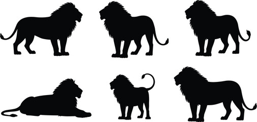 Black silhouettes of lions in different poses on a white background big cat feline © MdZabed