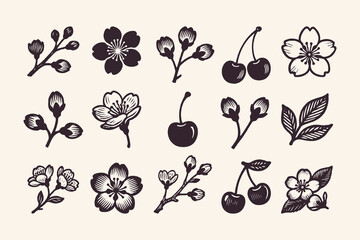 Set of hand-drawn cherry flowers, buds, cherries, and leaves in ink style on light cream background. Concept of spring, nature, and flora