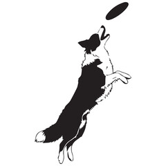 Dog jumping to catch frisbee in mid air playfully