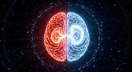 Brain hemispheres highlighted in red and blue showing brain power with network connection on dark background in a futuristic digital illustration 3d rendering