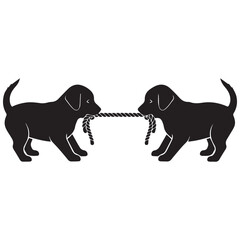 Two playful black puppies fighting with a rope toy together