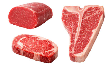Raw Beef Steak Cuts Set