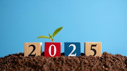 New year 2025 concept with seedling growing from wooden blocks in soil