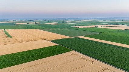 Aerial view of an agricultural landscape mosaic of golden wheat fields and vibrant green crops creating a patchwork under the soft sky, Novi Sad, Vojvodina, Serbia.