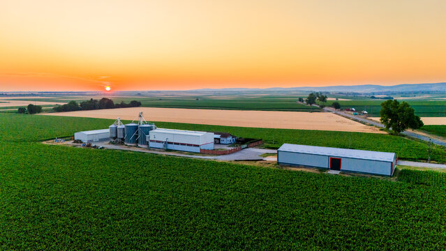 Aerial view of farm buildings nestled in a tapestry of golden wheat fields meeting vibrant green crops under a radiant sunset, Novi Sad, Vojvodina, Serbia.