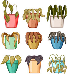 Nine potted houseplants in various stages of declinewilting, browned and shriveled leavesillustrating neglect, drought, poor care, plant failure and decay in a set collection