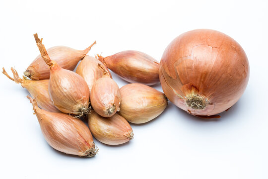 Chalotas y cebolla sobre fondo blanco