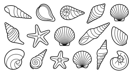 Collection of various seashell and starfish illustrations