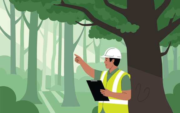 Conservationist Examines Trees in a Forest Reserve Illustration
