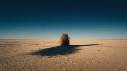 Desert landscape with dry bush under clear blue sky wide open spaces natural environment