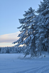 Winter landscape on a lake, for backgrounds or textures