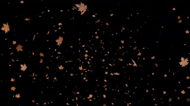falling autumn maple leaves animation on transparent background, Leaves falling animation with alpha channel 
